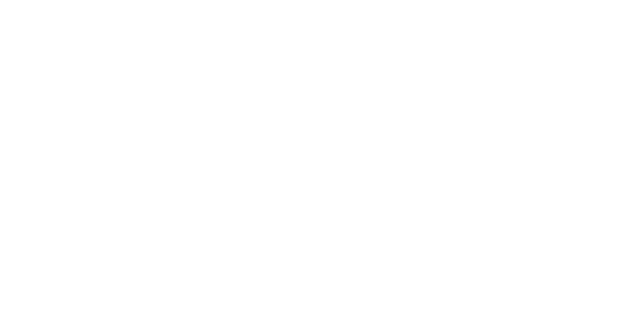 xavis-logo-white